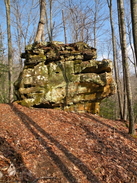 Bughead Rock - Koomer Ridge Trail.jpg